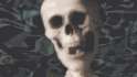 spooky skeleton.gif