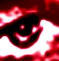 1443301855748.png