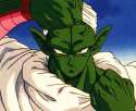 piccolo3.jpg