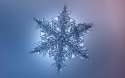 Slideshow_Snowflake_06_NEW.jpg