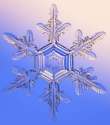 snowflake1.jpg
