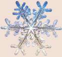 snowflake.gif