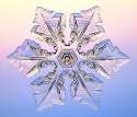 realflake3.jpg