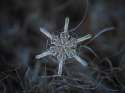 snowflake92.jpg
