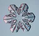 snowflake-5.jpg