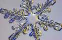 snowflake-2.jpg