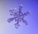 img_6909-6904-snowflake1.jpg