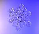 img_6693-6694-snowflake.jpg