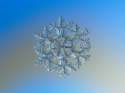 Snowflake_macro_photography_1.jpg