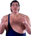 Andre.png