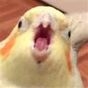 ^338F6A243570E7FC0E1DF5A016307C71329A9DA77319622395^pimgpsh_thumbnail_win_distr.jpg