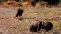 Screenshot 2016-06-19 at 10.20.08 PM.png
