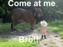 Come-at-me-bro.jpg
