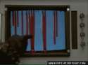 raspberry-o.gif