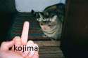FB_IMG_1465874423273.jpg