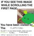 forgaga.jpg