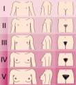 240px-Tanner_scale-female.svg.png