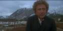Silver-Streak-Gene-Wilder.jpg