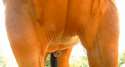 35663b0108a10b6b.gif