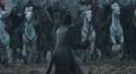 LeoTheRohirrim.jpg