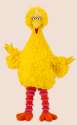 BigBird.png