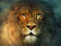 Aslan-Lion-The-Chronicles-of-Narnia-Wallpaper.jpg