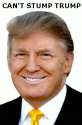 donald-trump-mug_5fea106e0eb494469a75e60d8f2b18ea.nbcnews-fp-320-320.gif