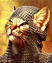 Chainmail Cat 4 - Deus Vult.jpg