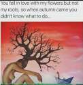 FB_IMG_1460147332399-01.jpg