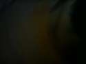 DSC00002.jpg