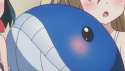 whale.png