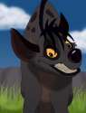 shenzi.jpg