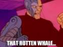 That rotten whale.jpg