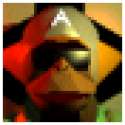 shogun.png