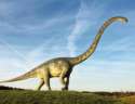 New-species-long-necked-dinosaur-discovered-in-China.jpg