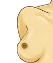 poxzi.png