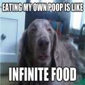 infinite food.jpg