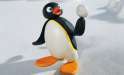 pingu.jpg