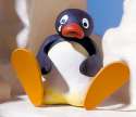 pingu10.jpg