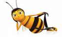 bee.png