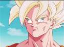 gokuquads.jpg