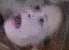 women1.png