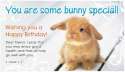 17521-some-bunny-bday.jpg