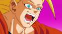 srh.gif