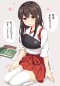 Akagi03.jpg