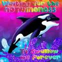 12112419_979009992160213_6350780050029492209_n.jpg