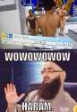 FB_IMG_14666449700146673.jpg