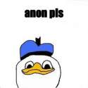 anonpls.png