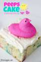Peeps-Cake.jpg