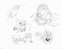 6020%20-%20abuse%20artist%3Abawsnia%20hugbox%20safe%20sea_fluffies%20sea_fluffy.jpg